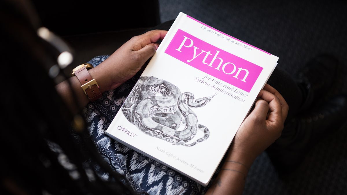 Proton VPN 弱网分片传输技术